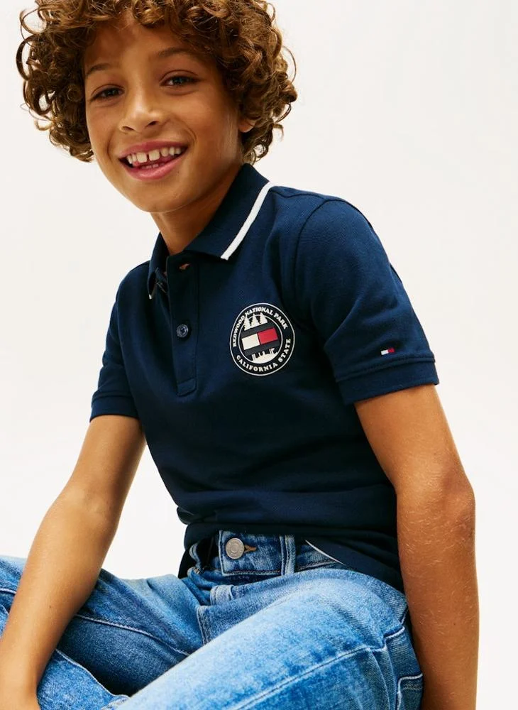 TOMMY HILFIGER  Kids Graphic Polo for Men | Best Price UAE