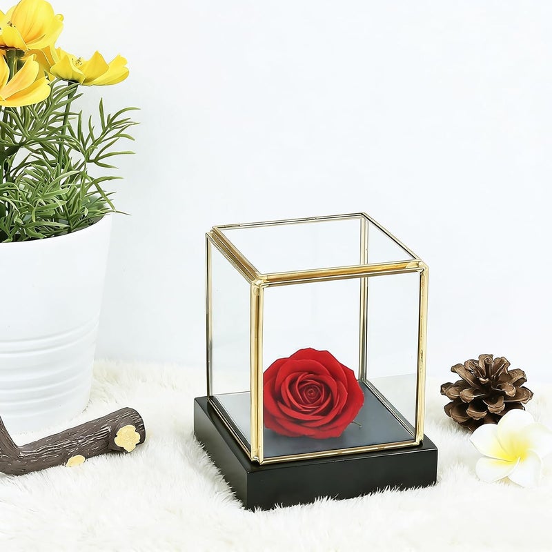 HighFree Vintage Glass Display Box for Collectibles, Gold Display Case with Black Wood Base for Plants Action Fiqurine Models, Clear Keepsake Box, 3.3x3.3x3.6 lnch, Small Square - Image 4