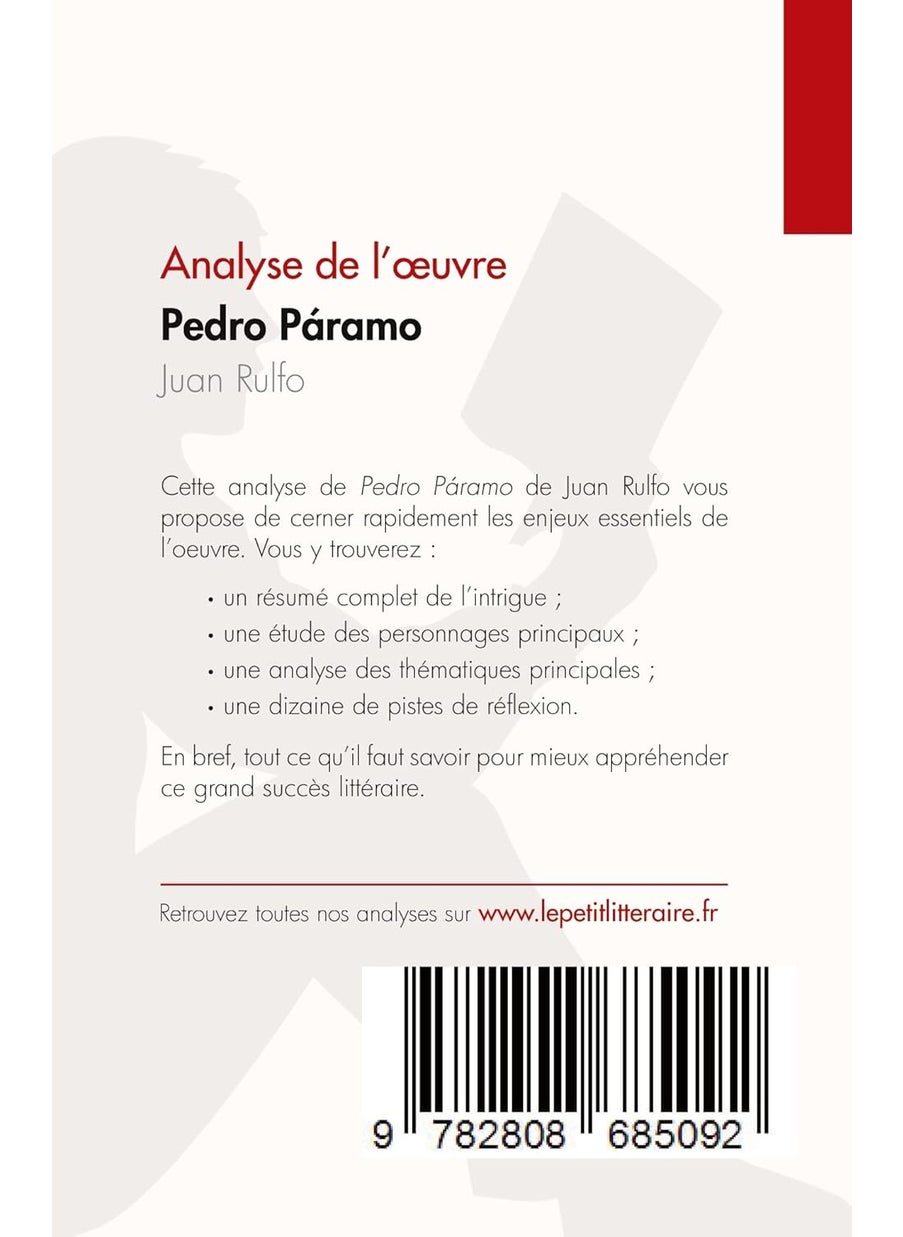 Pedro Páramo de Juan Rulfo (Analyse de l'oeuvre): Résumé complet et analyse détaillée de l'oeuvre  - Image 2