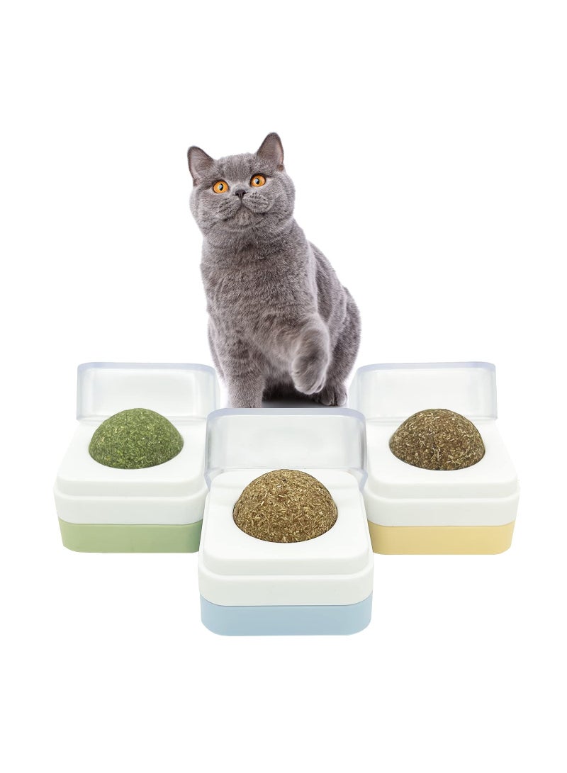 3 Pack Catnip Balls, Removable Self-Healing Wall Balls with Silvervine, Edible Chew Toys for Kittens, Safe Dental Toys for Teeth Cleaning and Healthy Playtime. - Image 1