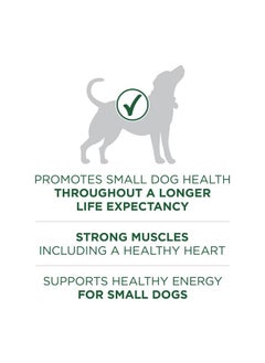Purina ONE Purina ONE Plus Small Breed Lamb and Rice Formula Dry Dog Food - 7.4 lb. Bag  - Image 4