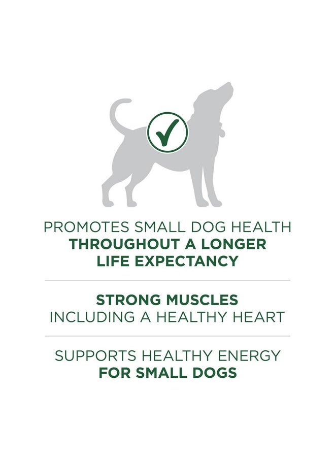 Purina ONE Purina ONE Plus Small Breed Lamb and Rice Formula Dry Dog Food - 7.4 lb. Bag  - Image 4