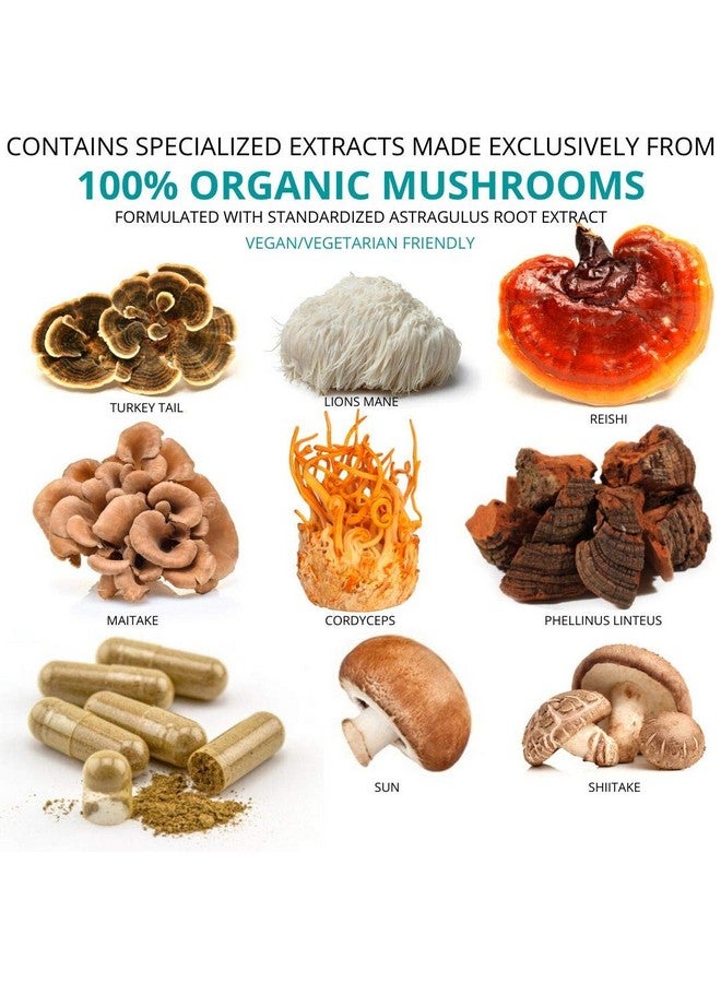 Organic Mushroom Blend Loins Mane Turkey Tail Shiitake Cordyceps Reishi Maitake Phellinus Linteus