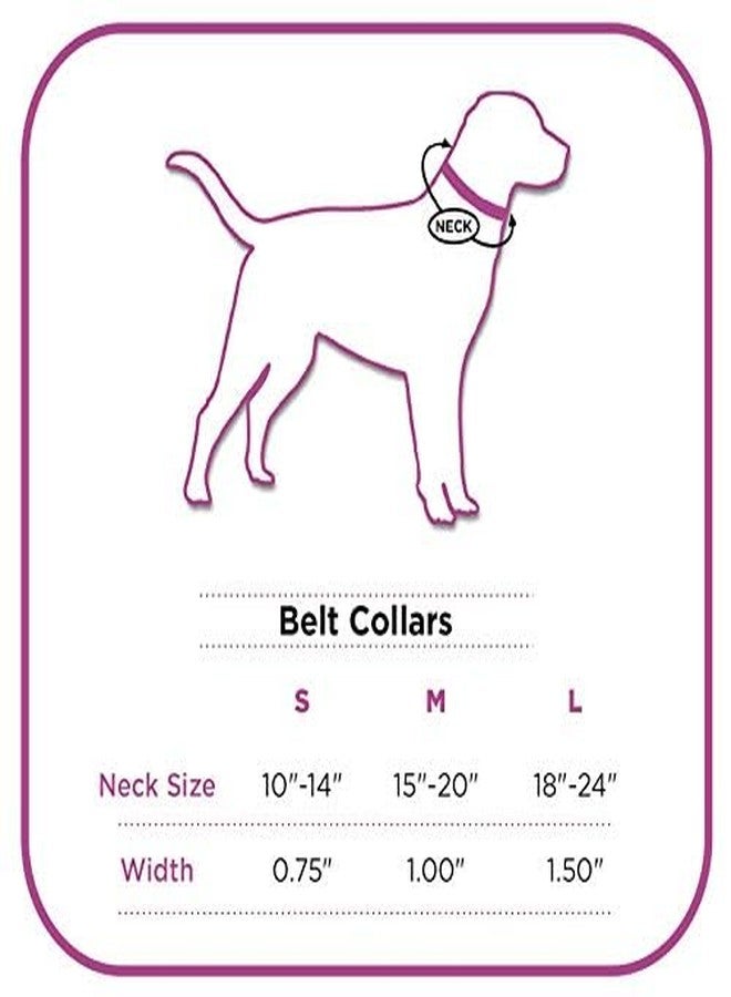 SUPER CHAIN Super Rainbow Adjustable Soft Reversible Dog Collar & Rope Combo for Medium and Large Size Dogs (Pack of 2) || Pet Accessories || Pet Supplies - Image 4