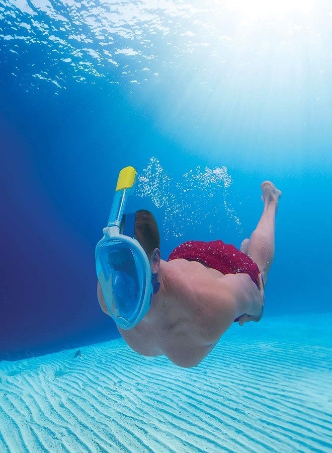 VBM طقم/قناع غطس/غطس سطحي من VBM، بعدسة زجاجية مقسّاة مضادة للضباب، للغطس السطحي والسباحة والغطس السطحي... (رمادي) صغير/متوسط - Image 2