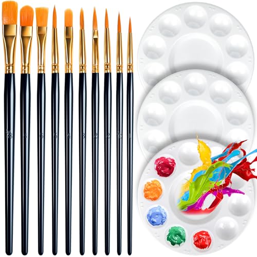 FANDAMEI Round Paint Tray Palettes and Paint Brushes Set Paintbrushes 3 PCS Plastic Paint Palettes Pallets 10 PCS Acrylic Paint Brushes Nylon Hair Painting Brushes for Acrylic Oil Watercolor