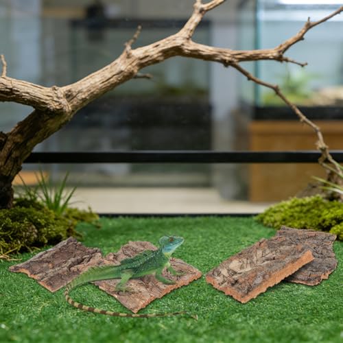Garneck 4Pcs Cork Bark for Reptile Terrarium: Natural Wood Cork Hideouts for Bearded Dragon Tank Accessories Small Climbing Reptile Hide Barks for Tortoise Snake Lizard Enclosure - Image 4