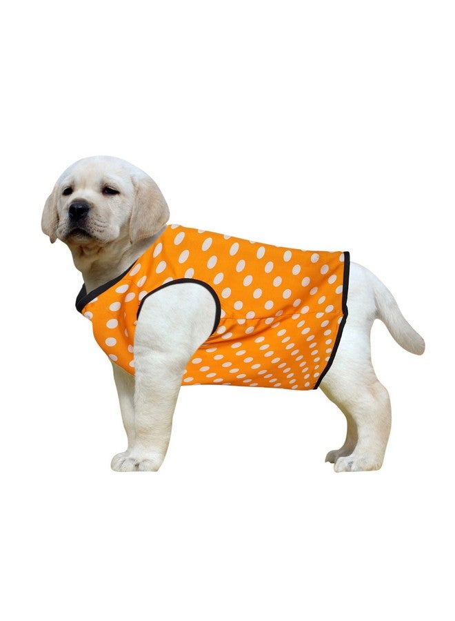 Western Era Funky Soft Cotton Dog T-Shirt | Comfortable & Breathable Dog Clothing | Sleeveless Vest Puppy Outfit |(Polka Orange) (Large) (22Inches) - Image 1