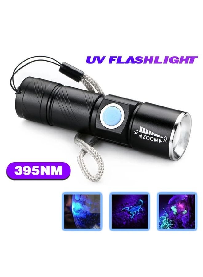 2pcs UV Flashlight 395NM Zoomable Portable Blacklight For Pet Urine Detection - Image 5