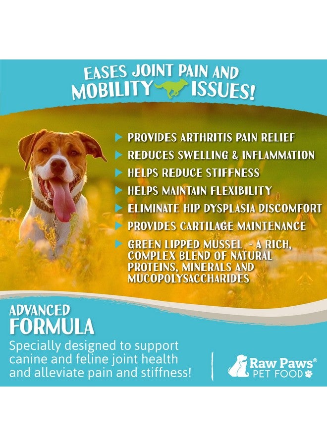 Raw Paws Green Lipped Mussel Hip and Joint Supplement for Dogs & Cats, 10-oz Powder - Green Lipped Mussels for Dogs - Natural Chondroitin Glucosamine for Dog & Cats - Dog Joint Pain Relief - Image 5