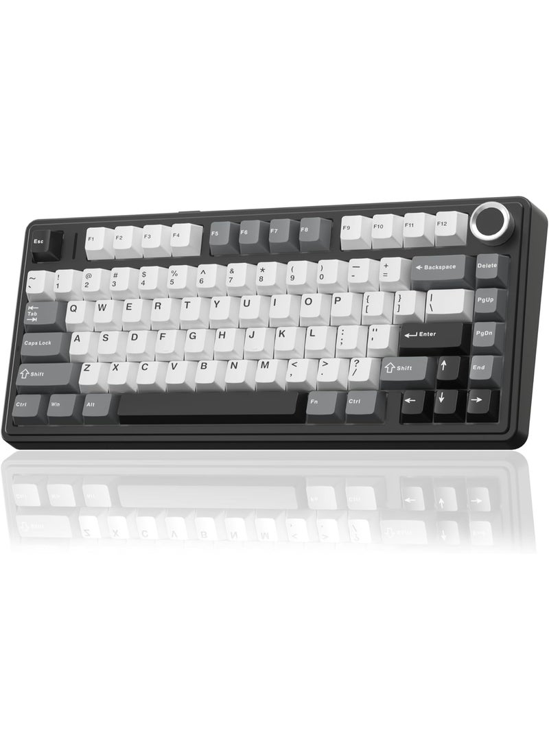 AULA F75 HE Gaming Keyboard with Magnetic Switches, 3-Mode, BT/2.4G/USB-C, 8000Hz Polling Rate, 4000mAh Battery, Supports DKS and SOCD, Adjustable Playback, Color (Black/White/Gray) - Image 1