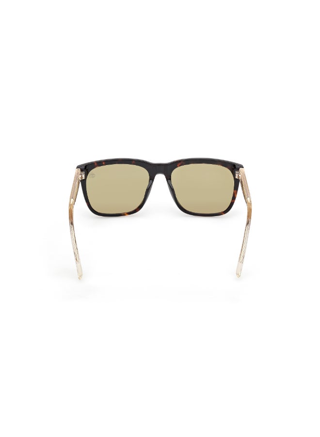Timberland FULL RIM POLARIZED TIMBERLAND ACETATE SUNGLASSES TB0005901D56 - Image 4