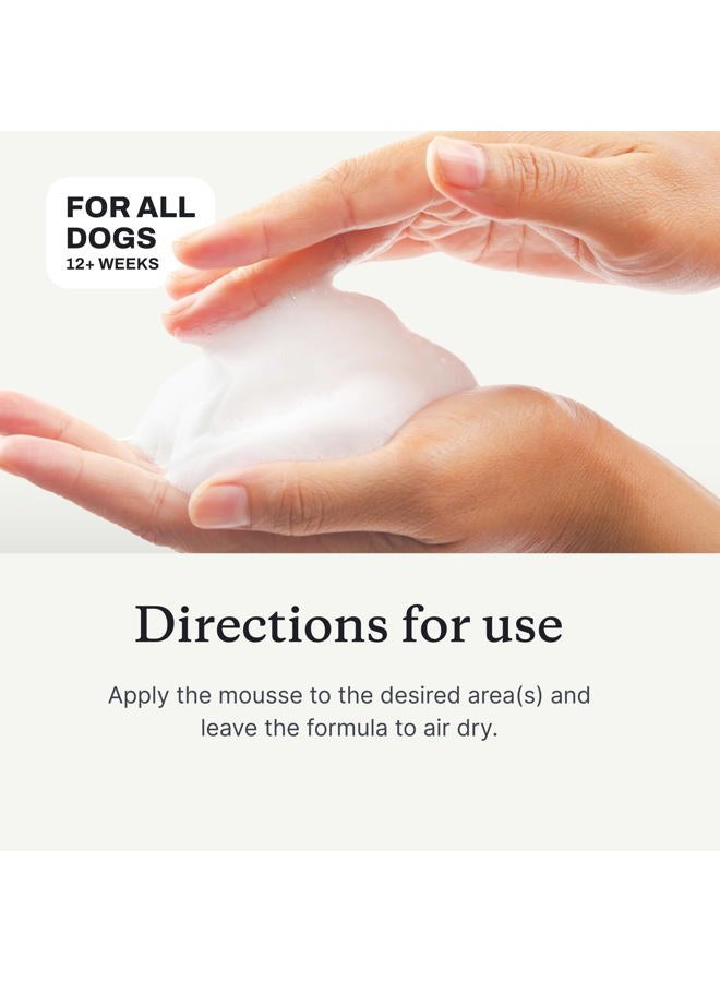 Petlab Co. Itch Relief Mousse - Moisturize, Deodorize, & Support Dry Skin with This Dry Dog Shampoo. Unique Quick-Dry Formula Delivers Support to Promote Coat Comfort - Image 5