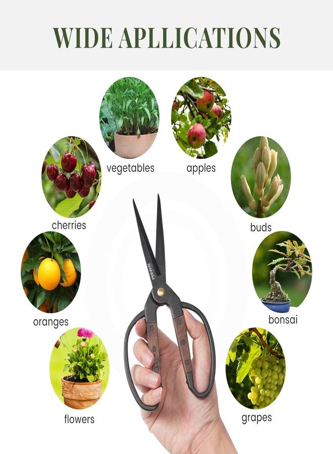 PERWIN Garden Flower Bonsai Scissors,Walnut Wide Handles Pruning Gardening Scissors Floral Shears for Gardening,Succulent Harvest, and Precision Plant Trimming Care - Image 3