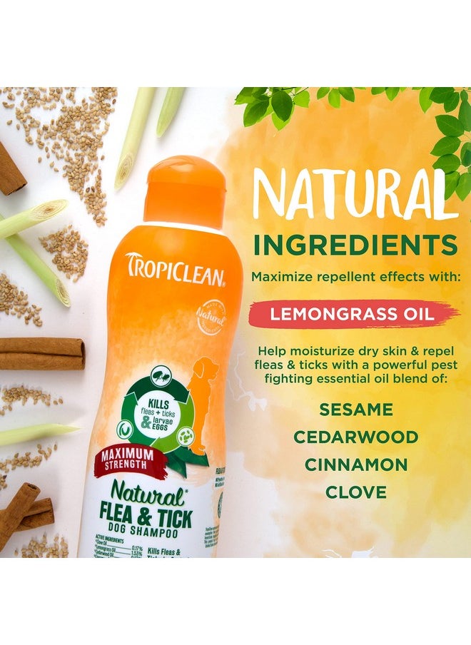 TropiClean Maximum Strength Natural Flea And Tick Dog Shampoo For Flea And Tick Prevention For Dogs | Made In The Usa | 20 Oz  - Image 3