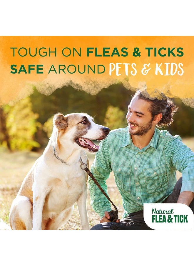 TropiClean Maximum Strength Natural Flea And Tick Dog Shampoo For Flea And Tick Prevention For Dogs | Made In The Usa | 20 Oz  - Image 4