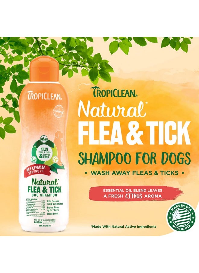 TropiClean Maximum Strength Natural Flea And Tick Dog Shampoo For Flea And Tick Prevention For Dogs | Made In The Usa | 20 Oz  - Image 2
