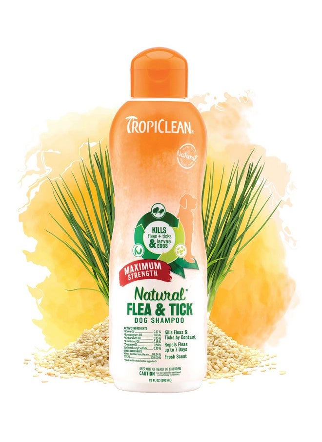 TropiClean Maximum Strength Natural Flea And Tick Dog Shampoo For Flea And Tick Prevention For Dogs | Made In The Usa | 20 Oz  - Image 1