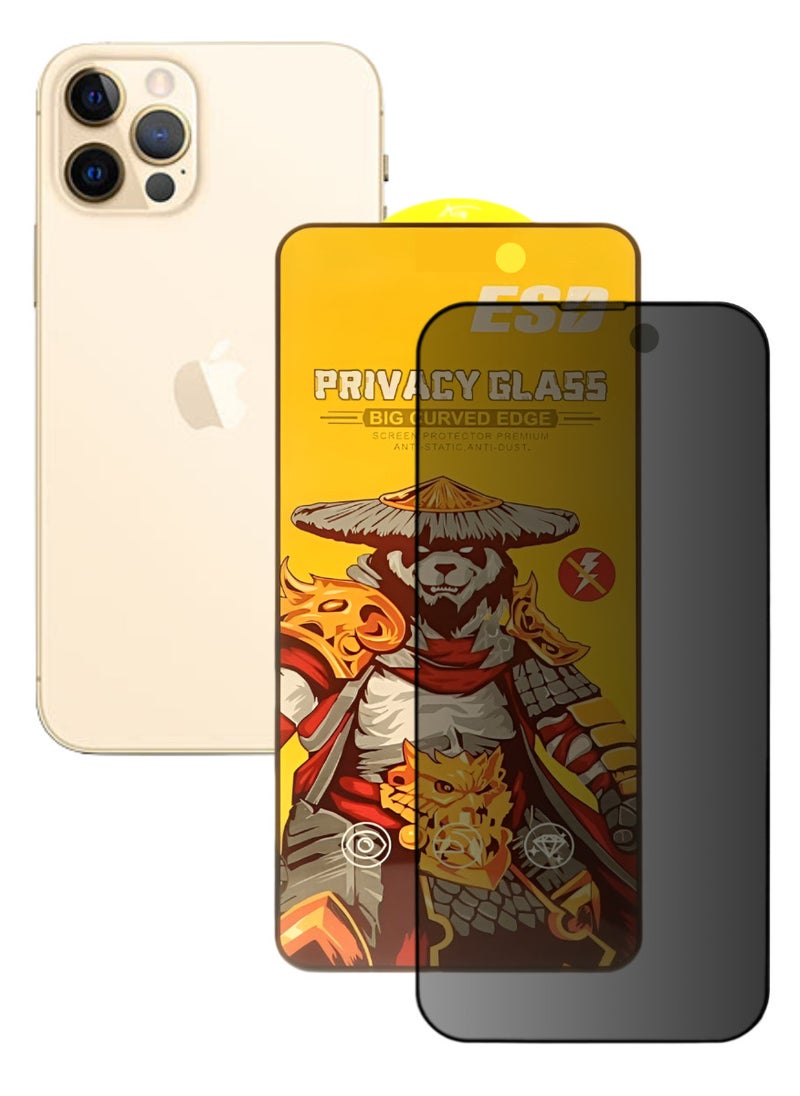 ESD Tempered Dustproof Privacy Glass Screen Protector Compatible For iPhone 12 Pro - Image 1