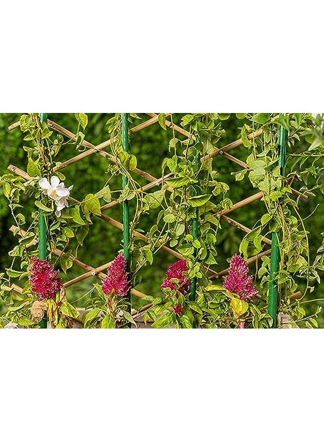 SGC Gl 20110 Pe Cotted Steel Plant Support Cane 90 Cm Length X 1.1 Cm Width - Image 4