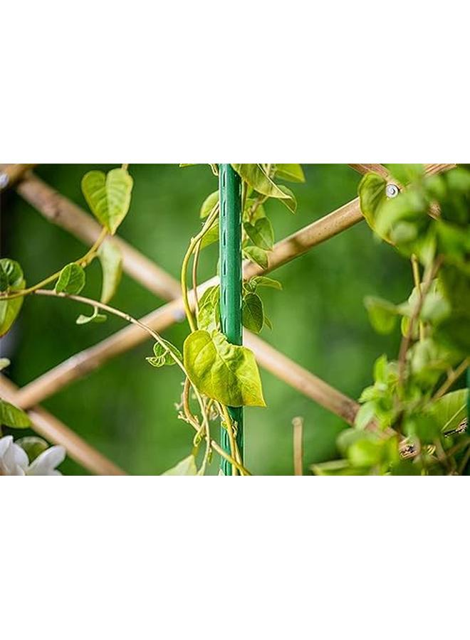 SGC Gl 20110 Pe Cotted Steel Plant Support Cane 90 Cm Length X 1.1 Cm Width - Image 2