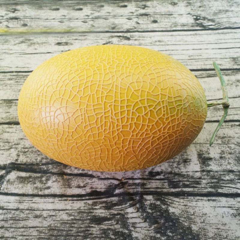 Simulation Fruit Model Cantaloupe Photography Prop Fruit Cantaloupe Ornament - Image 4