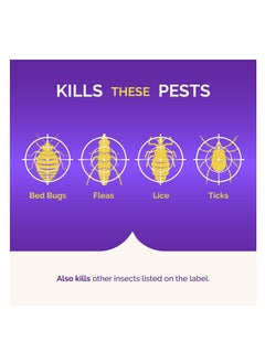 Hot Shot Hot Shot Bed Bug & Flea Fogger, 3 Count (Pack of 1), Kills Fleas Indoors, Get Rid of Fleas In House, Inhibits Reinfestation Up to 7 Months  - Image 3