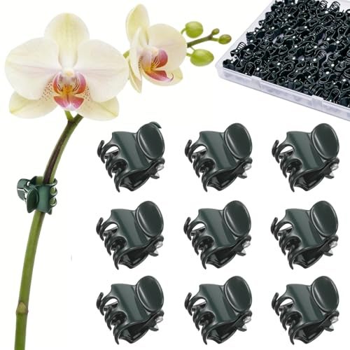 CHZKVOY 100 Pcs Standard Orchid Clips - 0.7-inch Max Opening, Dark Green Plant Support Clips, Gentle Hold with No Damage for Phalaenopsis and Small-Medium Stems - Image 1