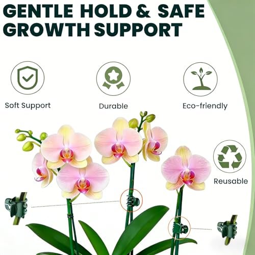 CHZKVOY 100 Pcs Standard Orchid Clips - 0.7-inch Max Opening, Dark Green Plant Support Clips, Gentle Hold with No Damage for Phalaenopsis and Small-Medium Stems - Image 5