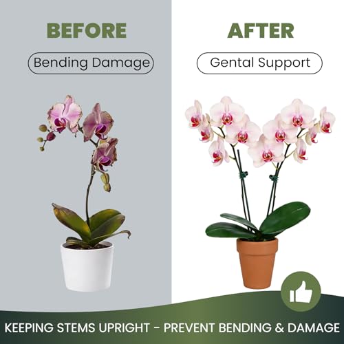 CHZKVOY 100 Pcs Standard Orchid Clips - 0.7-inch Max Opening, Dark Green Plant Support Clips, Gentle Hold with No Damage for Phalaenopsis and Small-Medium Stems - Image 3