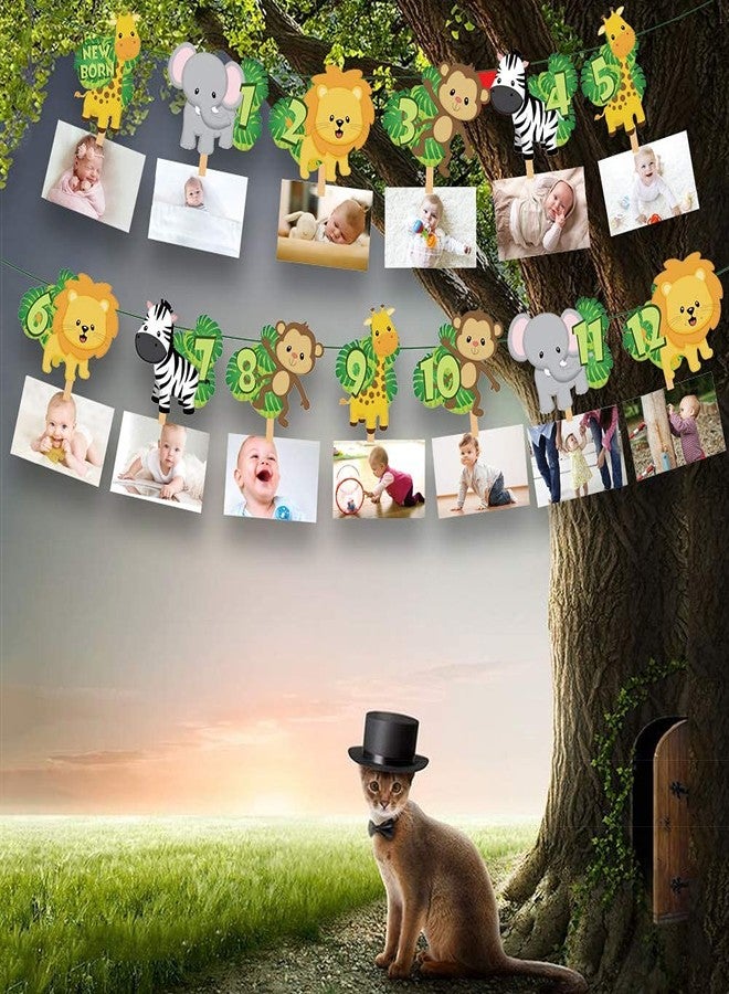 فيستيكو لافتة صور عيد الميلاد الأول من فيستيكو® بطابع الغابة / عرض مراحل نمو الطفل من حديثي الولادة إلى 12 شهرًا، لافتة عيد الميلاد الأول بطابع حيوانات السفاري، دعائم كشك الصور لحفلات الغابة، زينة حفلات تحطيم الكيك، لوازم الحفلات - Image 4