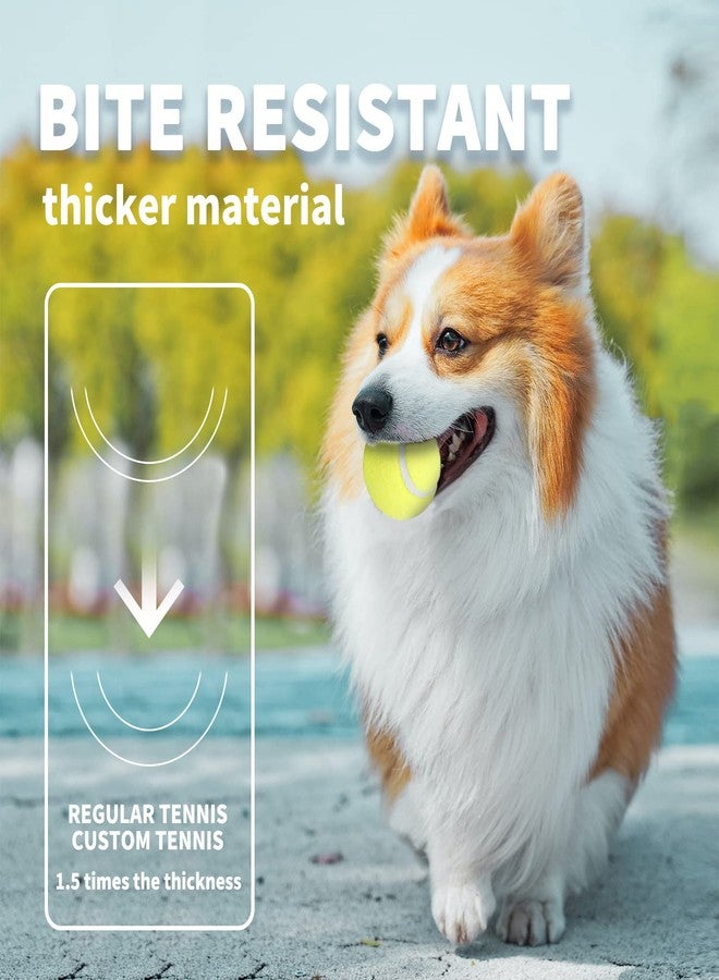 ALL FOR PAWS Dogs Ball Toy, 2" Dog Safety Balls Toy with High Bounce, Exercise and Play Interactive Dogs Tennis Balls Suitable for Ball Launchers - Image 5