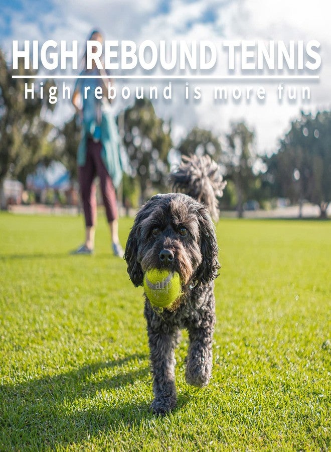 ALL FOR PAWS Dogs Ball Toy, 2" Dog Safety Balls Toy with High Bounce, Exercise and Play Interactive Dogs Tennis Balls Suitable for Ball Launchers - Image 4