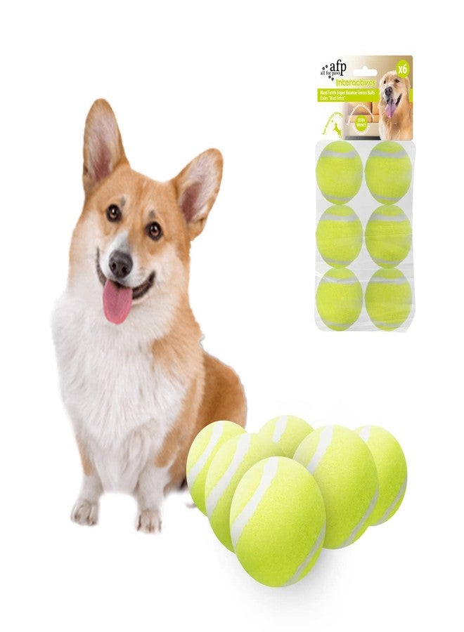 ALL FOR PAWS Dogs Ball Toy, 2" Dog Safety Balls Toy with High Bounce, Exercise and Play Interactive Dogs Tennis Balls Suitable for Ball Launchers - Image 1