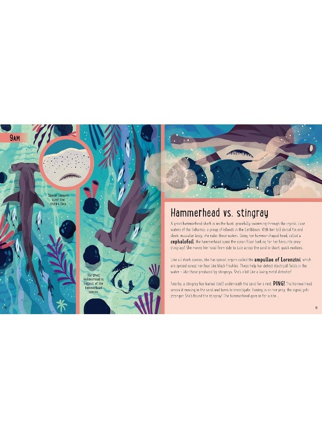 Sharks (A Day in the Life): What Do Great Whites, Hammerheads, and Whale Sharks Get Up To All Day? - Image 2