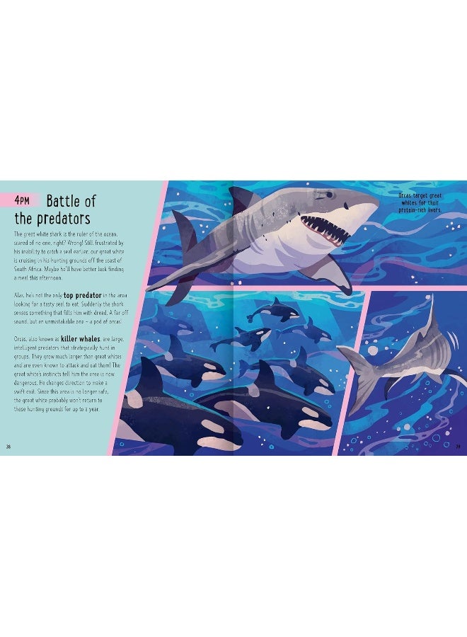 Sharks (A Day in the Life): What Do Great Whites, Hammerheads, and Whale Sharks Get Up To All Day? - Image 4