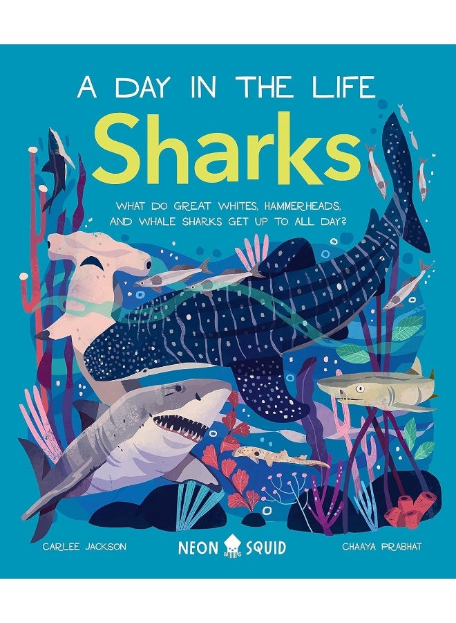 Sharks (A Day in the Life): What Do Great Whites, Hammerheads, and Whale Sharks Get Up To All Day? - Image 1