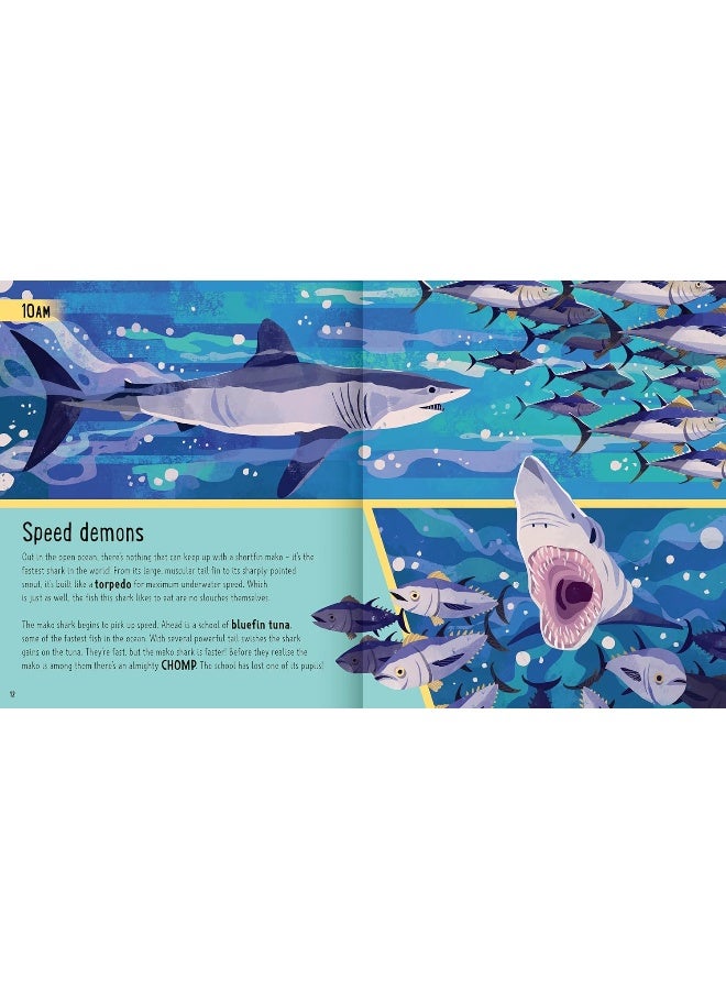 Sharks (A Day in the Life): What Do Great Whites, Hammerheads, and Whale Sharks Get Up To All Day? - Image 3