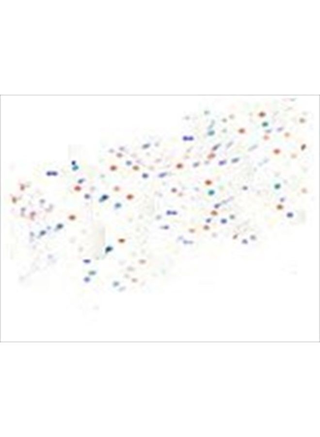 Golden Rose ماسكارا شفافة متعددة الفيتامينات للرموش المثالية - Image 2