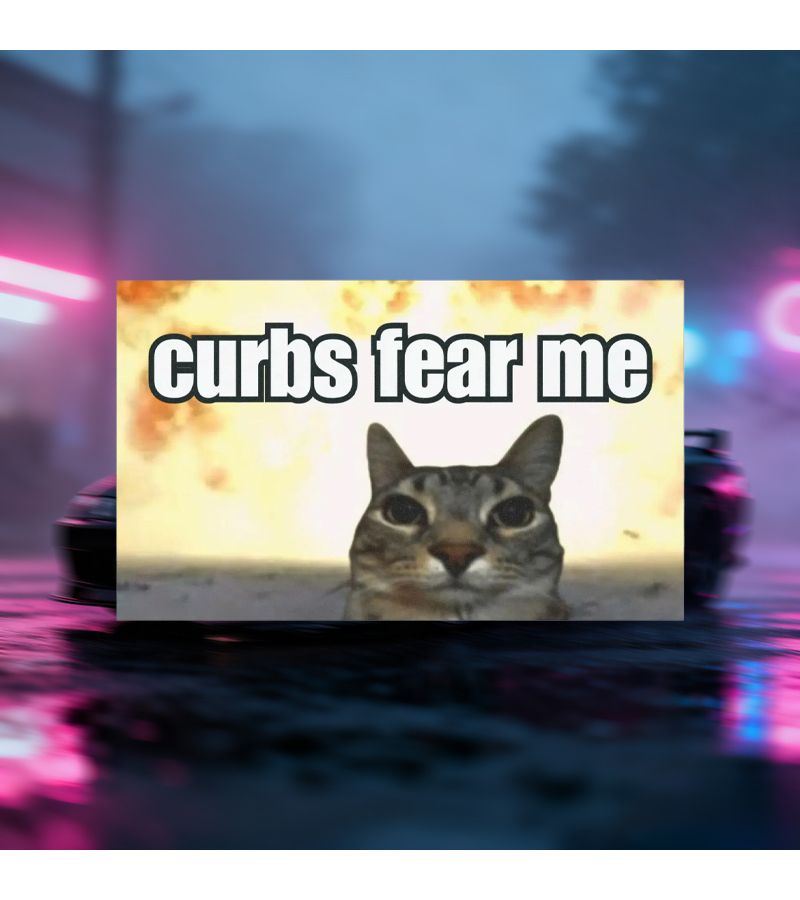 ملصق شريط ممتص الصدمات للسيارة من الفينيل "Curbs Fear Me Cat Meme" هدية له أو لها - قطعة واحدة - Image 1
