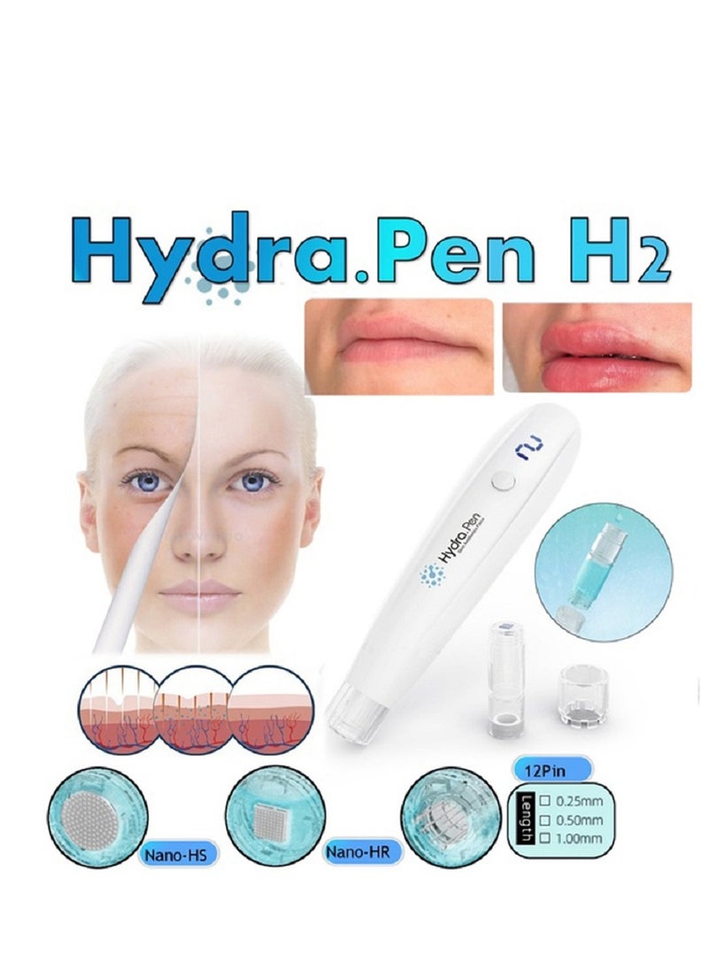 hydra - 10Pcs H12pins/0.25mm/0.5mm/1.0mm/Nano-HS/Nano-HR Needle Replacement Cartridges for Hydra Pen H2/Microcrystalline Hydrometer - Image 1