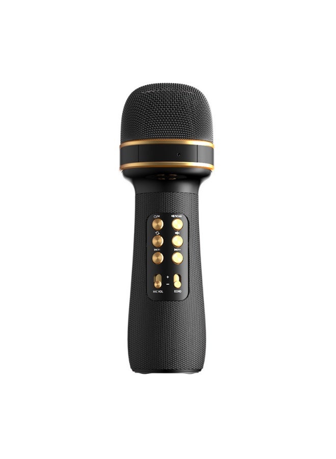EBMINI New Professional Home KTV Singing Recording Home Karaoke Microphone