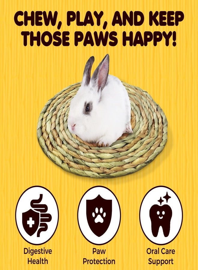 SunGrow Round Rabbit Grass Mat, Chew Toy for Guinea Pigs and Hamsters, Enclosure Bedding for Small Animals, Gnawing and Relaxation Hideout Spot, 8" x 0.7", 1 Pc - Image 3