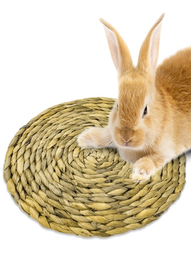 SunGrow Round Rabbit Grass Mat, Chew Toy for Guinea Pigs and Hamsters, Enclosure Bedding for Small Animals, Gnawing and Relaxation Hideout Spot, 8" x 0.7", 1 Pc - Image 1