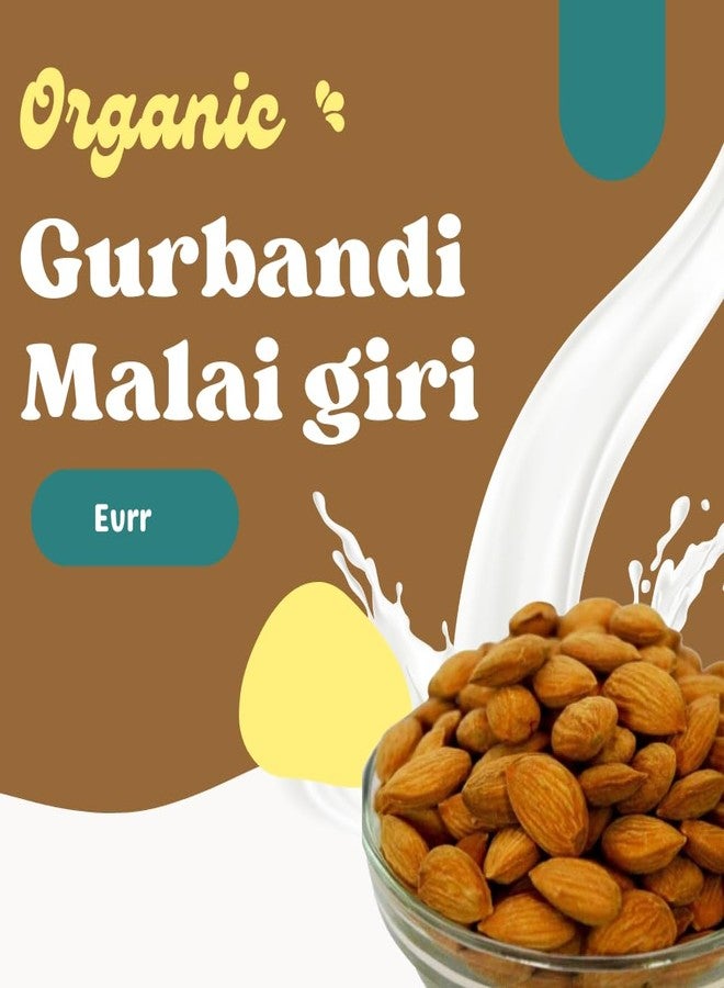 EVRR Gurbandi Almond kernel 1Kg - Nature's Powerhouse Packed with Protein & Nutrients, Gurbandi Badam/Almonds/Choti Giri - Image 4