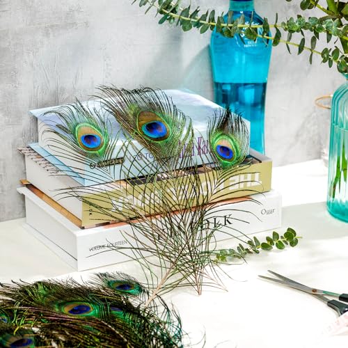 Piokio 50 pcs Peacock Feathers in Bulk 10-12 inch(25-30 cm) Bulk for DIY Craft, Craft Vase Wedding Home Party Christmas Day Decoration - Image 5