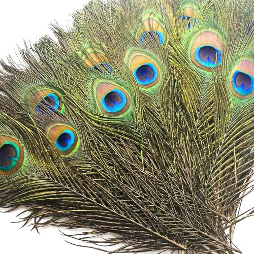 Piokio 50 pcs Peacock Feathers in Bulk 10-12 inch(25-30 cm) Bulk for DIY Craft, Craft Vase Wedding Home Party Christmas Day Decoration - Image 1