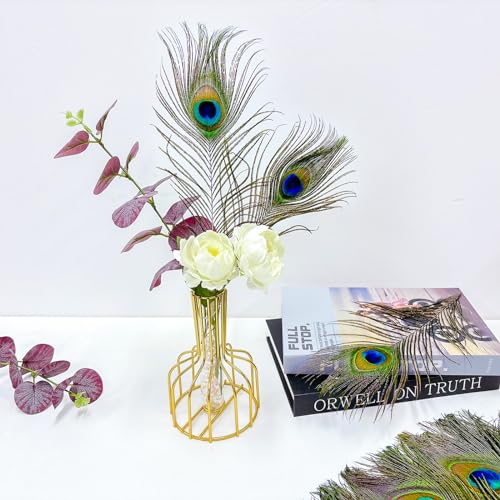 Piokio 50 pcs Peacock Feathers in Bulk 10-12 inch(25-30 cm) Bulk for DIY Craft, Craft Vase Wedding Home Party Christmas Day Decoration - Image 4