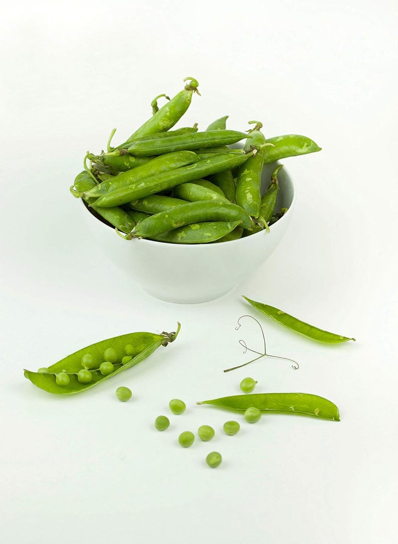 GGOOT Early Frosty Shelling Pea 50 Seeds Sweet Tasty Use Early pods for stir Fry- let Grow for shelling Cool Weather Crop - Image 1