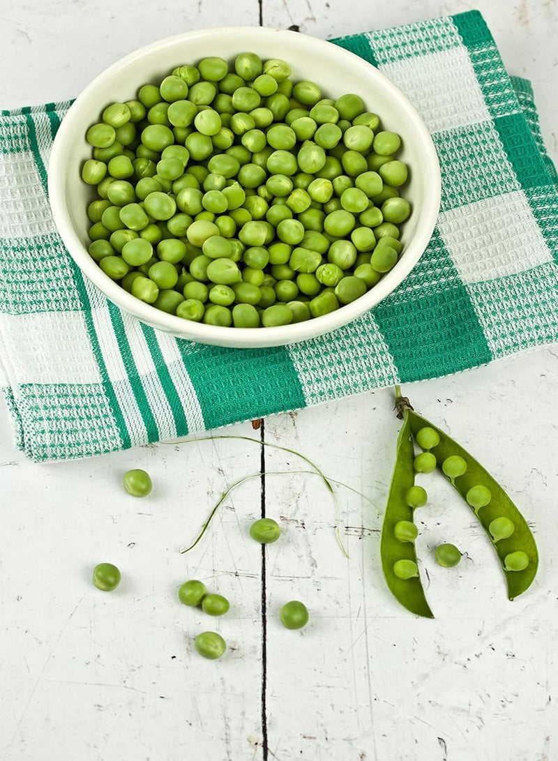 GGOOT Early Frosty Shelling Pea 50 Seeds Sweet Tasty Use Early pods for stir Fry- let Grow for shelling Cool Weather Crop - Image 2